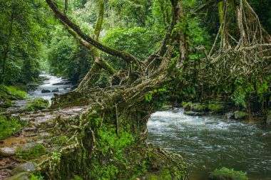 Magical Meghalaya Escapade